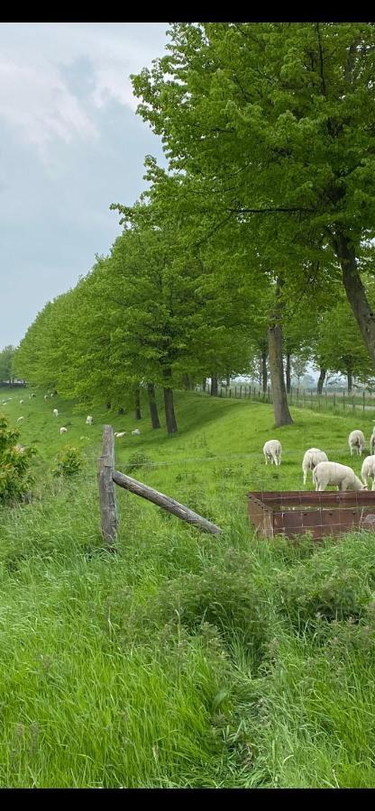 Bungalow Scheldezicht In Zeeland Dicht Bij Zee Scherpenisse المظهر الخارجي الصورة