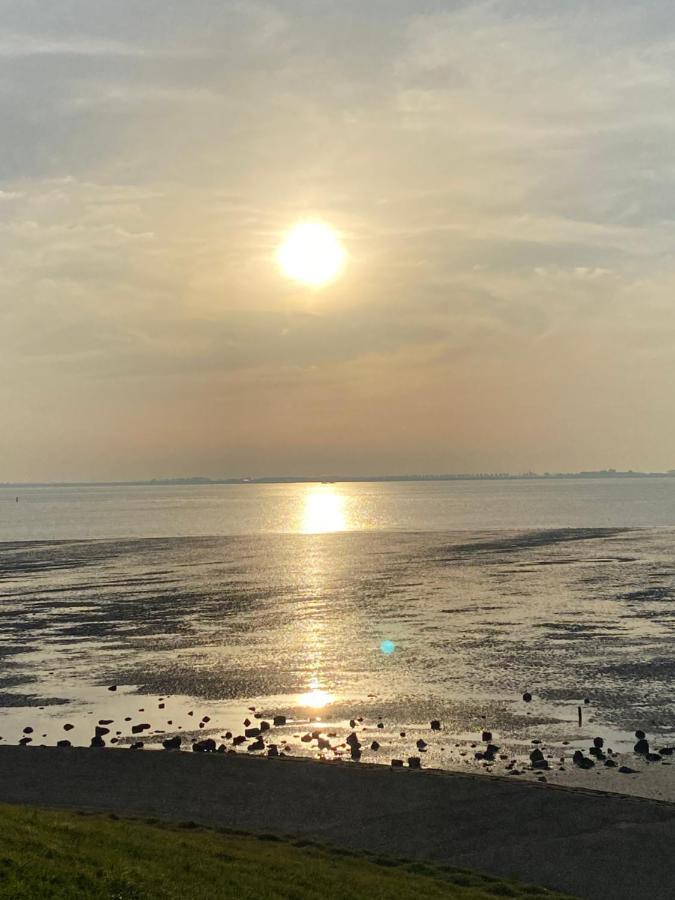 Bungalow Scheldezicht In Zeeland Dicht Bij Zee Scherpenisse المظهر الخارجي الصورة