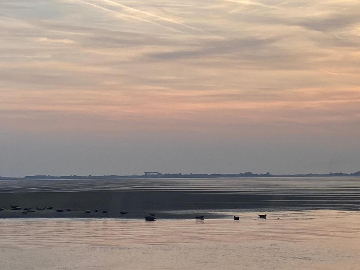 Bungalow Scheldezicht In Zeeland Dicht Bij Zee Scherpenisse المظهر الخارجي الصورة
